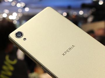 藝術家以狗兒為題 展現Sony Xperia X混合對焦威力