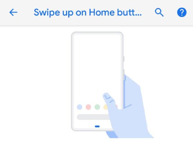 Android P開發版疑曝Google Pixel 3 擁有超高螢幕佔比