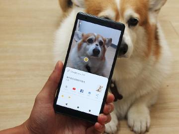 Sony XZ2等多款手機支援Google Lens 實測狗的品種也能識別