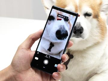 更加完整的專業攝錄體驗 Sony Xperia 5相機測試
