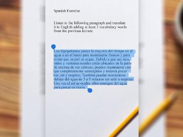 Google Lens可念出識別文字與文字內容複製到桌機