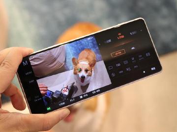 Sony號召寵物飼主體驗Xperia 1 II 推出三倍券優惠