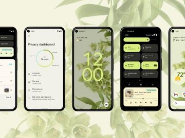 Google發表Android 12作業系統 Beta版即日釋出