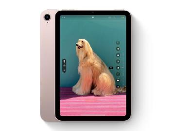 iPad mini 6與iPad 9 Wi-Fi版終於推出 Apple官網開放訂購