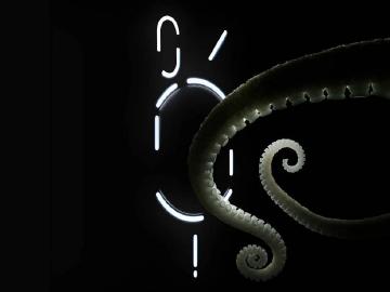 Nothing Phone 2代確定7月發表 S8+ Gen 1搭配全新燈效