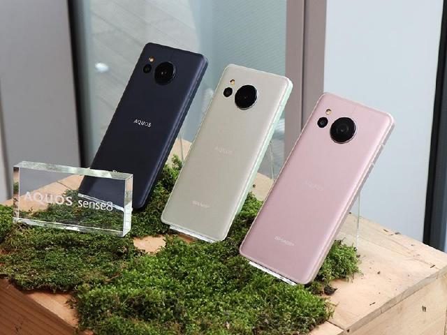 台灣夏普每季都會引進日本新機 AQUOS sense8預計12月推出