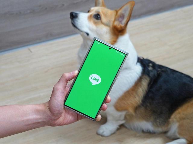 LINE帳號被盜用的三大常見手法！寵物投票比賽最容易被詐騙