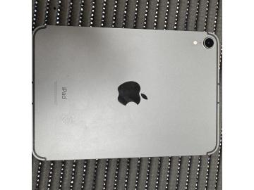 Apple iPad mini (2021) 5G 256GB