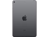 Apple iPad mini (2019) Wi-Fi 256GB