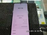 SAMSUNG Galaxy Z Flip4 256GB