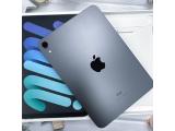 Apple iPad mini (2021) Wi-Fi 256GB