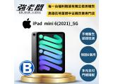 Apple iPad mini (2021) 5G 256GB