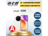 vivo X300