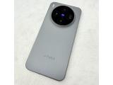vivo X300