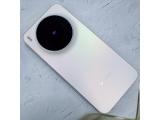 vivo X300
