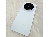 vivo X300