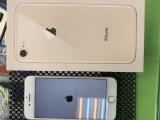 Apple iPhone